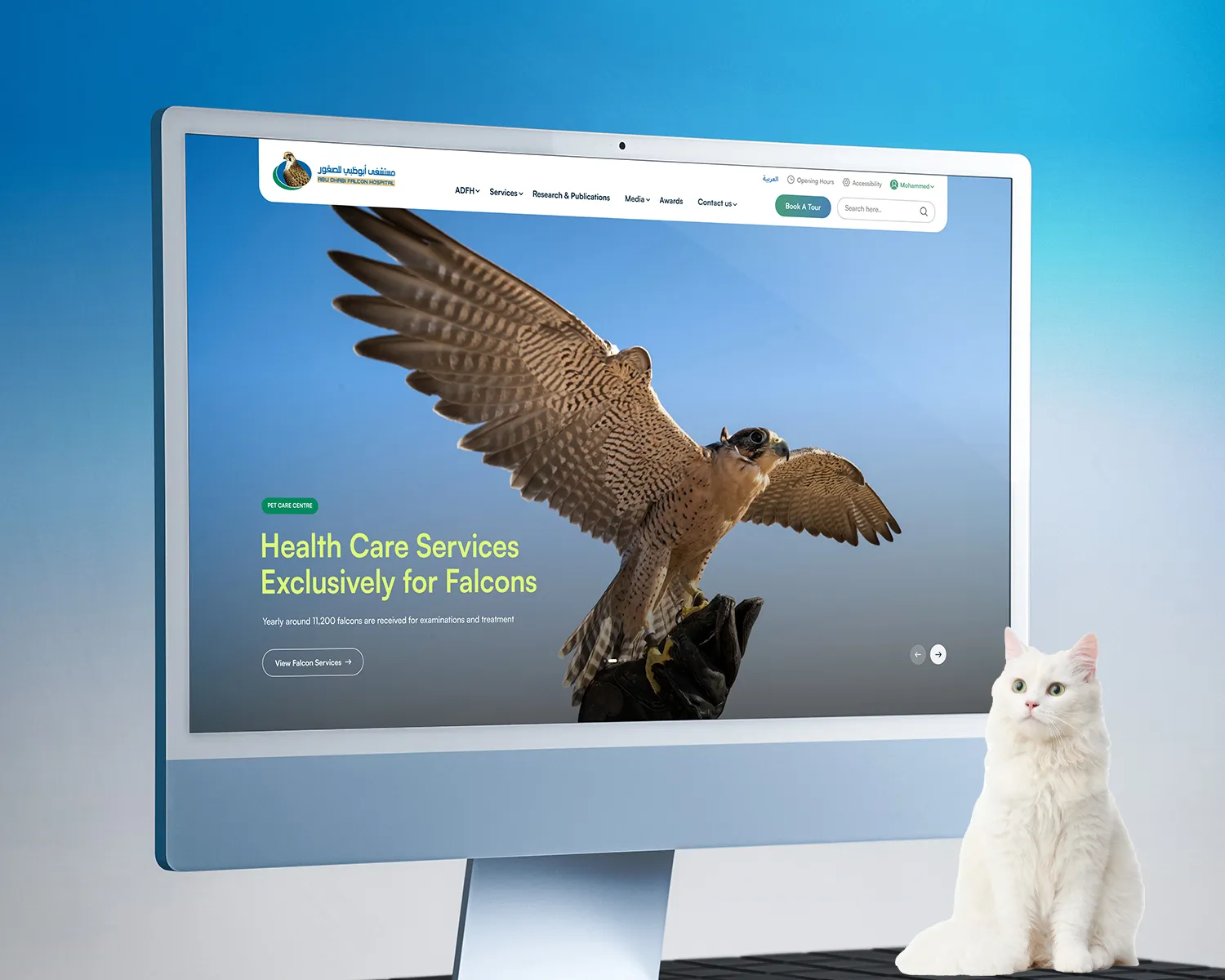 Abu Dhabi Falcon Hospital
